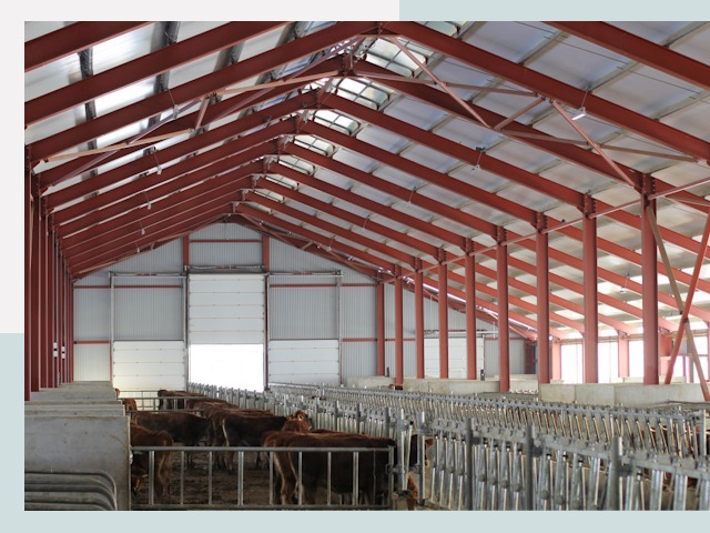 Строительство коровников в Горячем Ключе