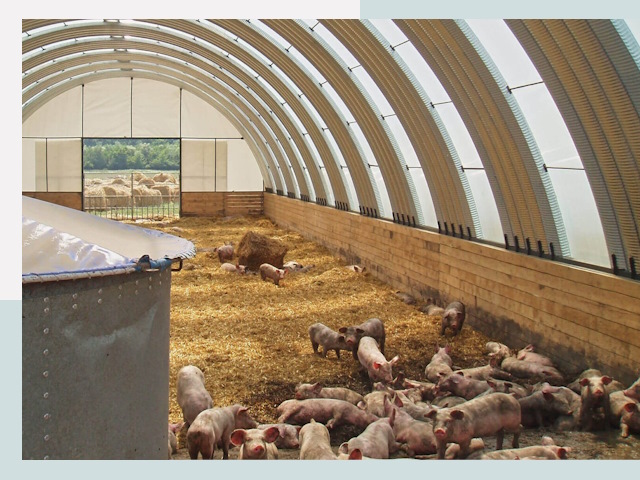 Строительство свинарников в Горячем Ключе